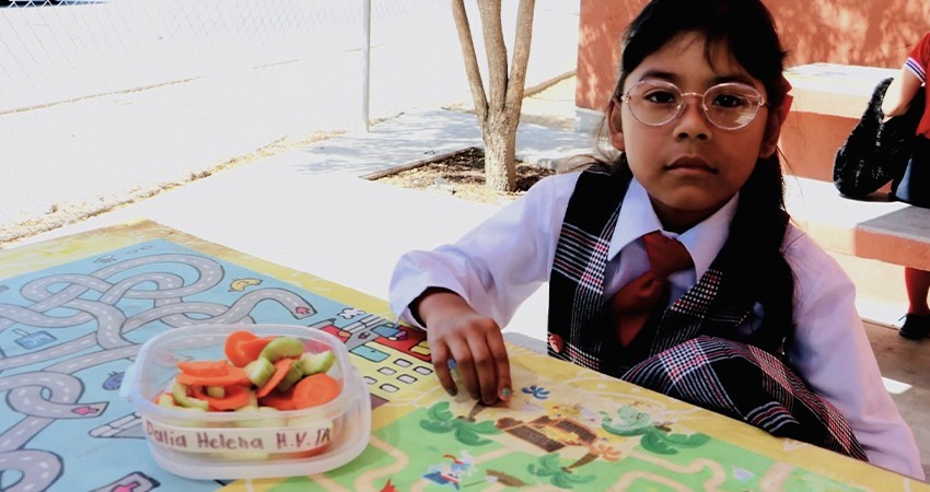 Fomentan los comedores escolares hábitos de alimentación saludable Fomentan los comedores escolares hábitos de alimentación saludable