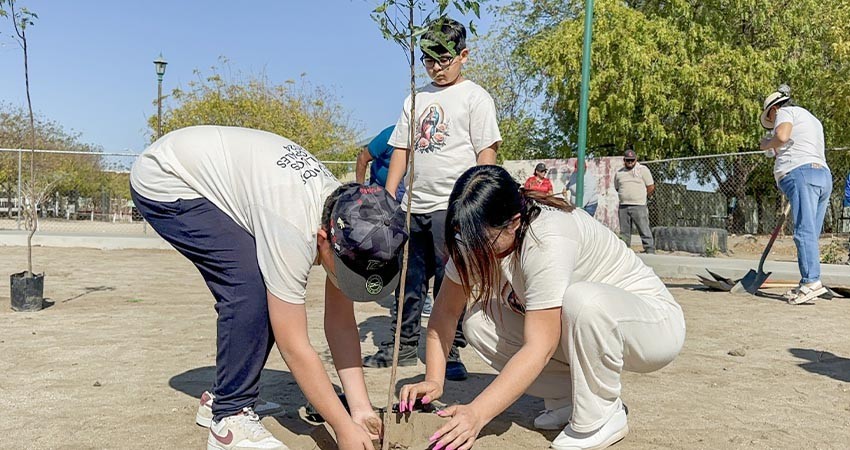 Siembran 100 árboles en parque de la colonia La Fuente
