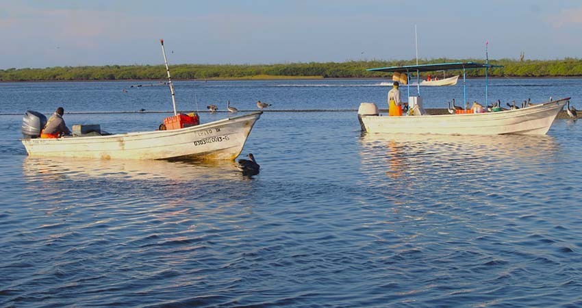 Avanza Baja California Sur en el fortalecimiento del sector pesquero y acuícola Avanza Baja California Sur en el fortalecimiento del sector pesquero y acuícola