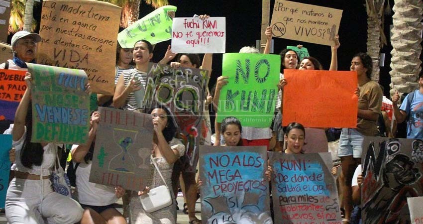 Encuesta: jóvenes impulsan el activismo digital a favor del medioambiente en México