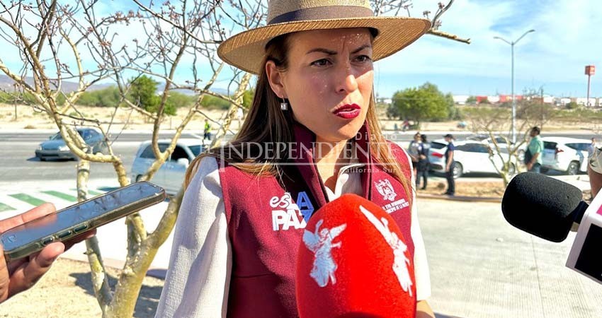 Preparan accesos y vigilancia en palmares de Todos Santos; contemplan medidas contra incendios