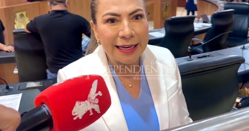 Lupita Saldaña: “La elección judicial es una farsa; no vamos a participar” Lupita Saldaña: “La elección judicial es una farsa; no vamos a participar”