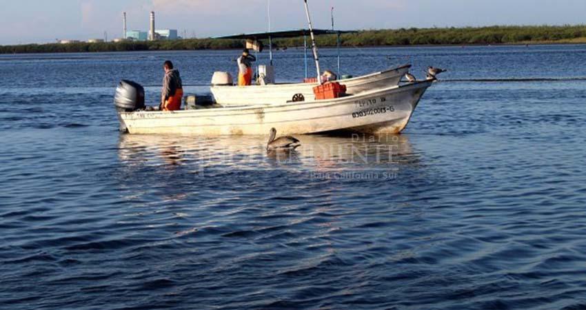 PRI pide claridad sobre la iniciativa "Dos Mares"; advierte posibles afectaciones a la pesca ribereña PRI pide claridad sobre la iniciativa "Dos Mares"; advierte posibles afectaciones a la pesca ribereña