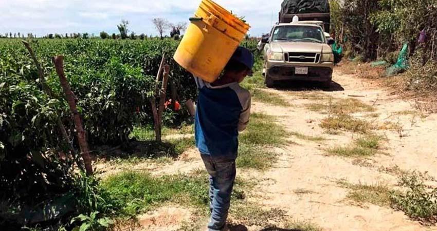Más de 3.7 millones de menores trabajan en México, muchos en condiciones de riesgo