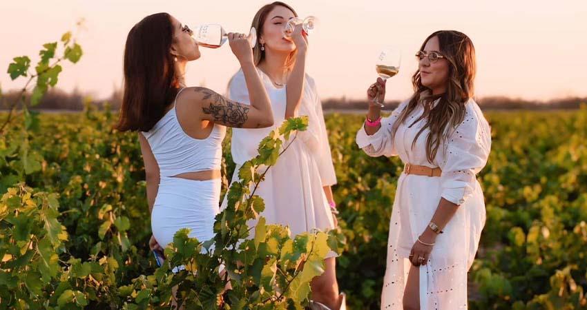 Este sábado 21 de junio realizarán “La Vendimia 2025”, en Comondú Este sábado 21 de junio realizarán “La Vendimia 2025”, en Comondú