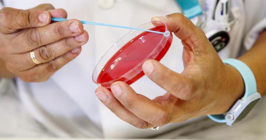 Estudio de laboratorio descarta caso adicional de sarampión en BCS Estudio de laboratorio descarta caso adicional de sarampión en BCS