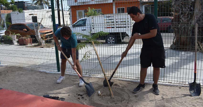 Se suma Juventud Municipal a jornadas de reforestación en colonias Se suma Juventud Municipal a jornadas de reforestación en colonias