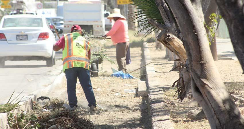 Servicios Públicos recolecta más de 230 toneladas de residuos Servicios Públicos recolecta más de 230 toneladas de residuos