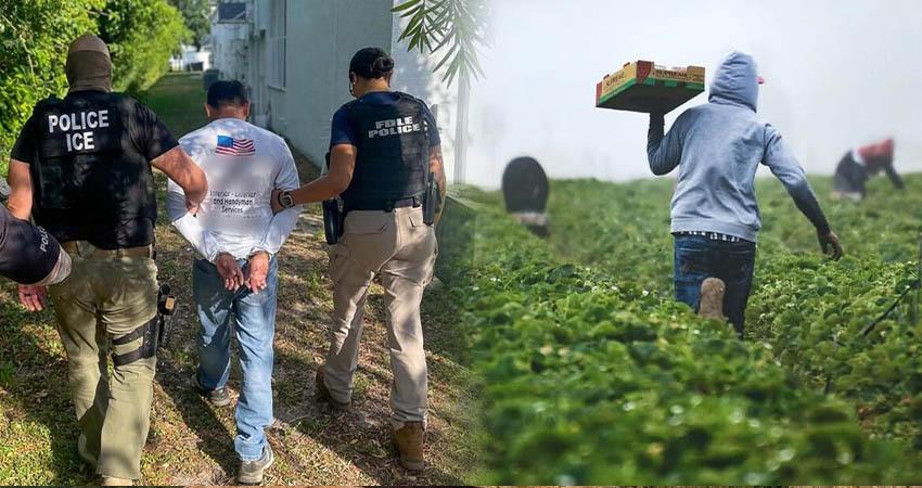 SRE dice que atiende a connacionales tras redadas de ICE en cultivos en California