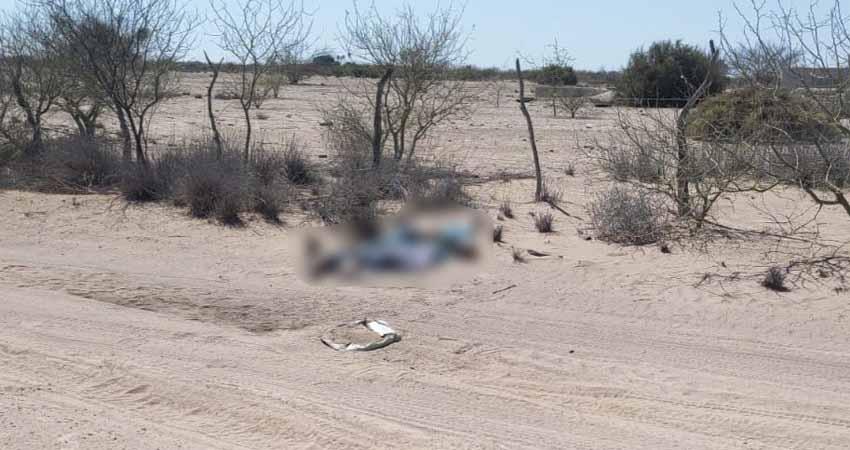 Abren carpeta de investigación por un hombre sin vida en Ciudad Constitución