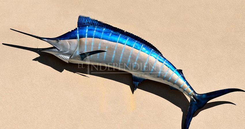 Promueven la "taxidermia" entre pesca deportiva de Los Cabos Promueven la "taxidermia" entre pesca deportiva de Los Cabos