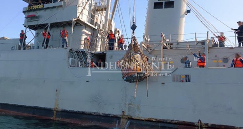 Recuperan contenedores de hidrocarburo que cayeron de una embarcación en Bahía Magdalena Recuperan contenedores de hidrocarburo que cayeron de una embarcación en Bahía Magdalena