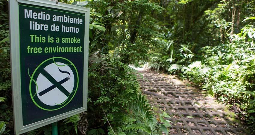 Diputados aprueban reformas que prohíben fumar en áreas naturales protegidas