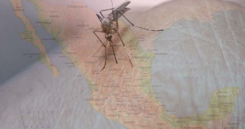 Van más de 6 mil casos de dengue en el país; 56% de ellos en 5 estados