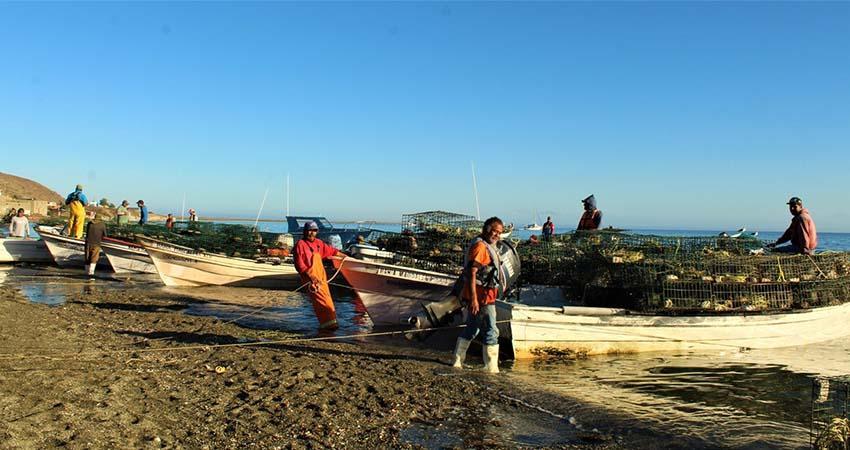 BCS se consolida entre las entidades con menos pobreza del país