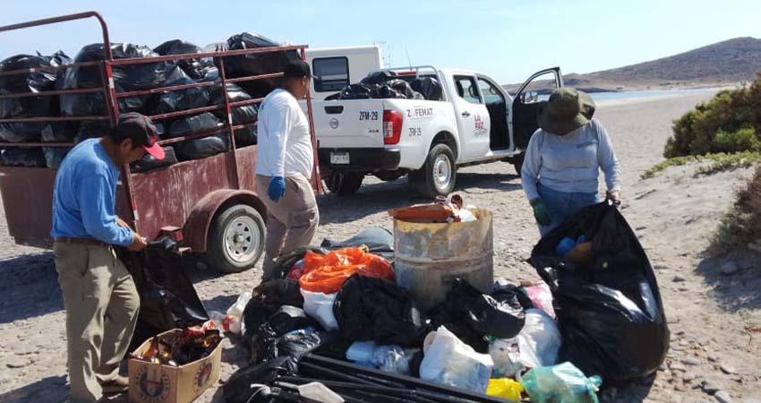 Recolecta Zofemat más de 7 toneladas de residuos en playas de La Paz Recolecta Zofemat más de 7 toneladas de residuos en playas de La Paz
