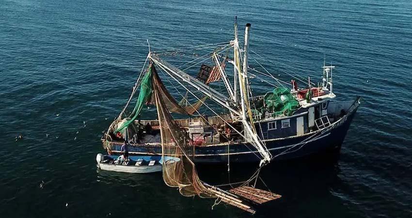 Impone EU embargo comercial contra 21 pesquerías mexicanas por muerte de especies Impone EU embargo comercial contra 21 pesquerías mexicanas por muerte de especies
