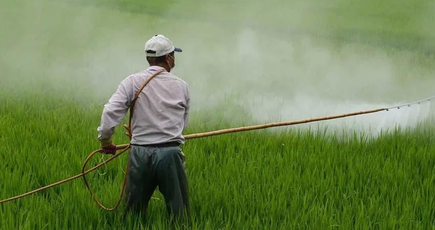 Prohíbe México el uso de 35 moléculas plaguicidas: Son 'altamente peligrosas' Prohíbe México el uso de 35 moléculas plaguicidas: Son 'altamente peligrosas'
