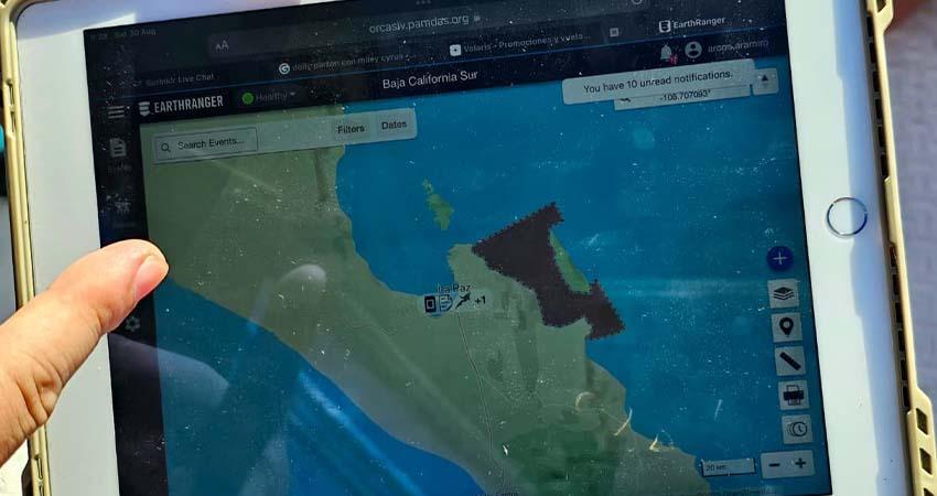 Realizan prueba exitosa del Sistema de Monitoreo para Avistamiento y Nado con Orcas en La Paz Realizan prueba exitosa del Sistema de Monitoreo para Avistamiento y Nado con Orcas en La Paz