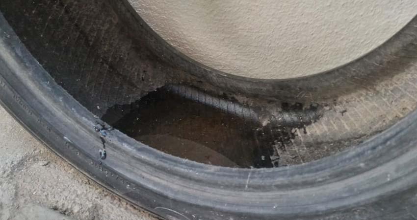 Tras las lluvias, recomiendan a la población y desinfección en casa para evitar alergias Tras las lluvias, recomiendan a la población y desinfección en casa para evitar alergias