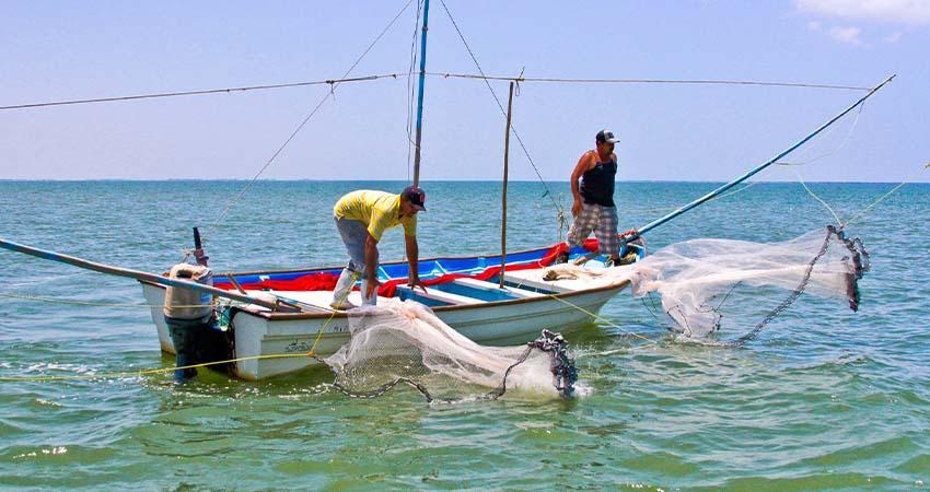 Dan a conocer fechas para el inicio de la temporada de camarón en el Pacífico Mexicano