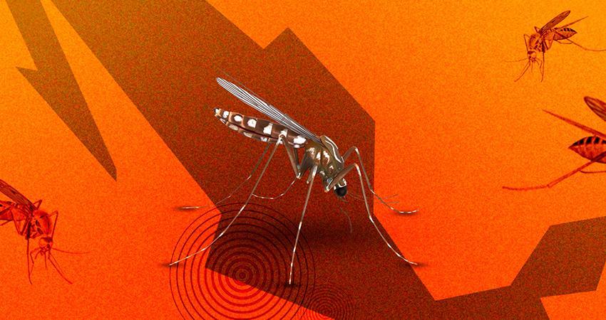 Reportan 16 muertes a causa del dengue en una semana