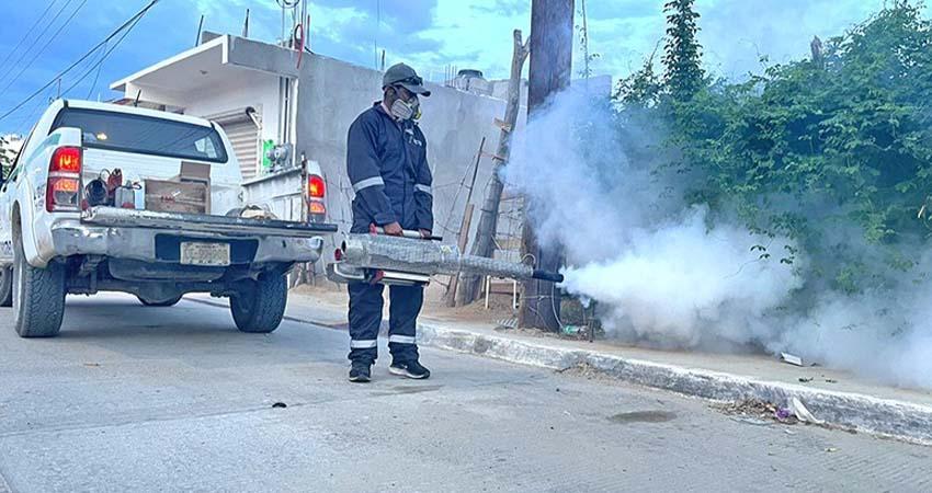 Este viernes arranca el ciclo de fumigación contra el mosco transmisor del dengue en Los Cabos