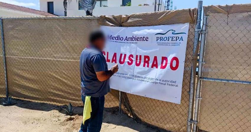 Clausura Profepa construcción ilegal en un área de dunas costeras de La Paz