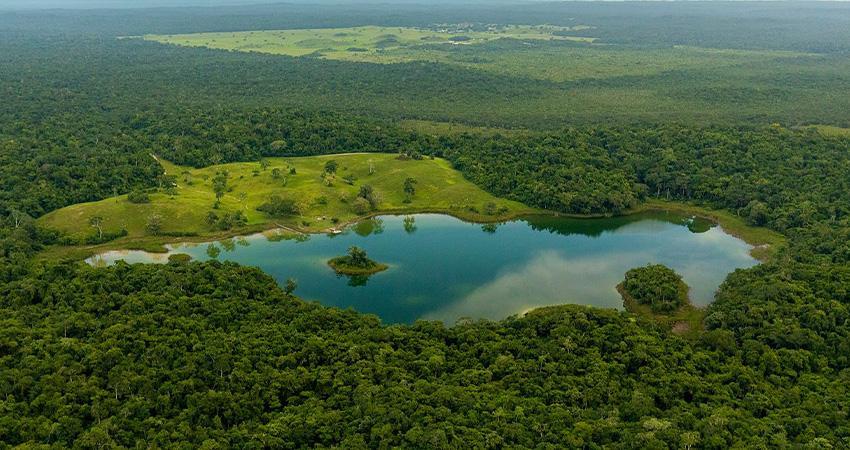 Gobierno y Greenpeace acuerdan mesas de trabajo para proteger la Selva Maya