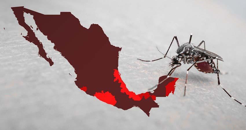 Dengue sigue en aumento en México; se reportan 567 casos en una semana
