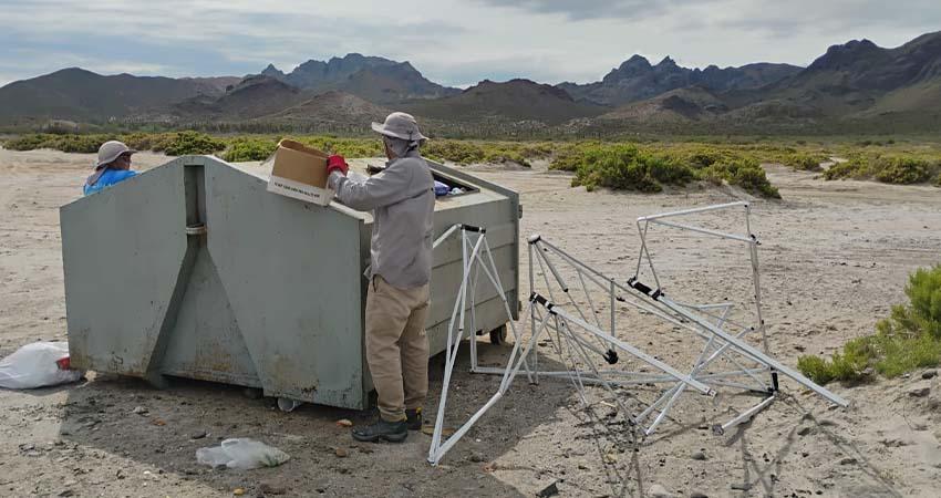 Recolecta Zofemat más de 4 toneladas de residuos en playas y zonas costeras de La Paz