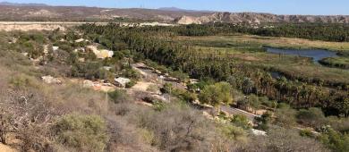 Investigadoras de la UABCS reciben beca de investigación por proyecto biocultural en el municipio de Mulegé