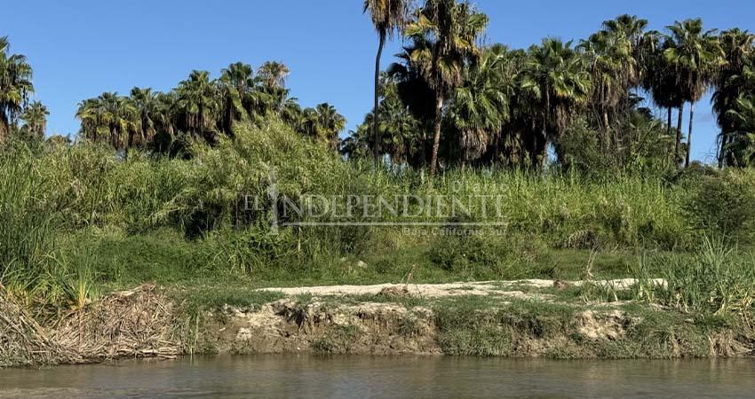 UABCS impulsa construcción de Torre de Monitoreo en Estero Josefino