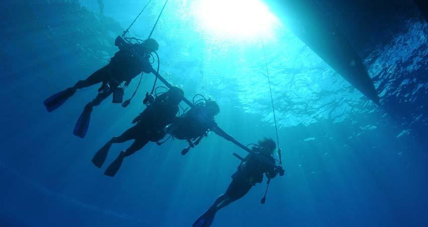 A partir de este viernes, UABCS publica su convocatoria de admisión a Biología Marina