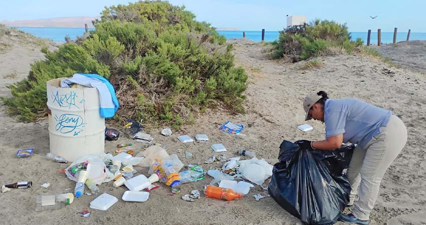 Recolecta Zofemat La Paz más de 5 toneladas de residuos en playas y zona de manglares Recolecta Zofemat La Paz más de 5 toneladas de residuos en playas y zona de manglares