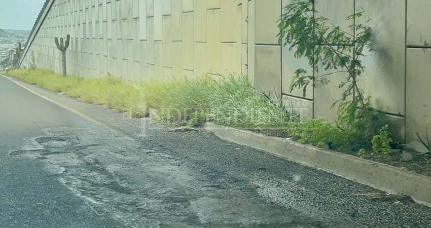 Denuncia alcalde de Los Cabos “poca presencia” de la SCT en el municipio; pedirán a director nacional atención urgente a carretera Denuncia alcalde de Los Cabos “poca presencia” de la SCT en el municipio; pedirán a director nacional atención urgente a carretera