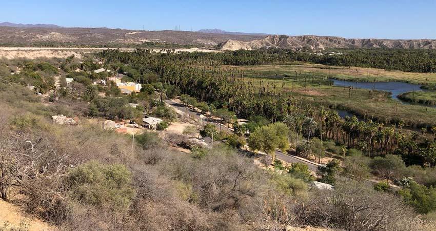 Investigadoras de la UABCS reciben beca de investigación por proyecto biocultural en el municipio de Mulegé Investigadoras de la UABCS reciben beca de investigación por proyecto biocultural en el municipio de Mulegé