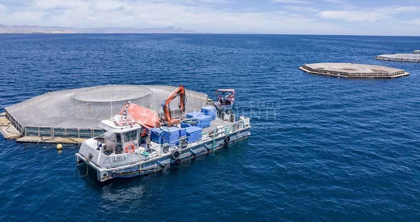 Santomar desarrolla una acuicultura resiliente al cambio climático en BCS