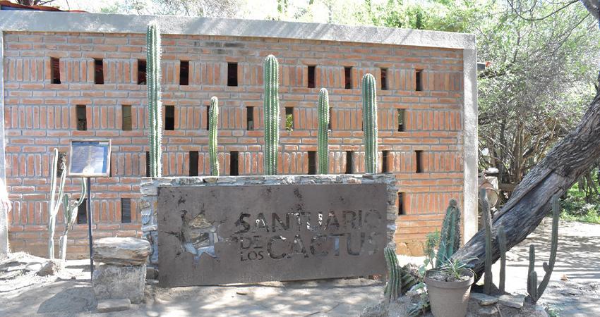 Reconocen al ejido El Rosario por su labor en la conservación del Santuario de los Cactus