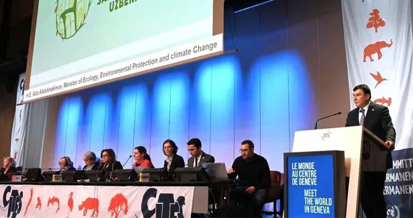 México rendirá cuentas sobre protección de vaquita marina