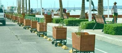 Macetas para el malecón costaron más de un millón de pesos