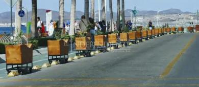 “Que adornen, pero no estorben”: Gobernador ordena retirar macetas del malecón