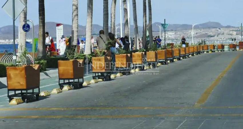 “Que adornen, pero no estorben”: Gobernador ordena retirar macetas del malecón