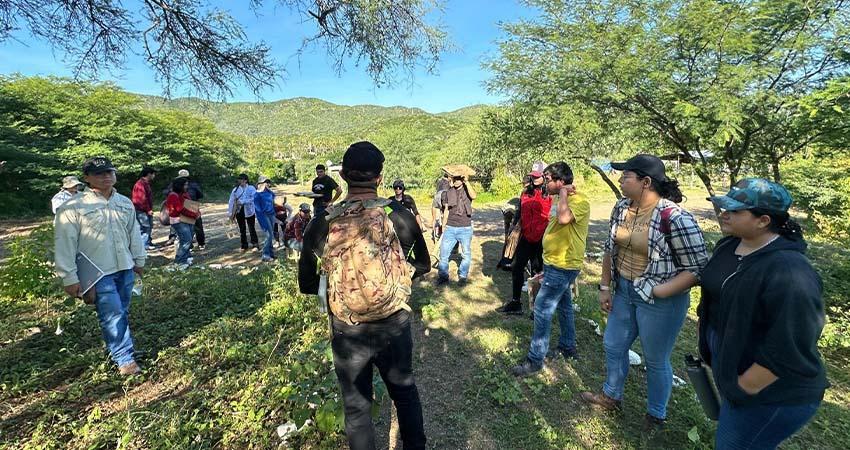 Estudiantes de UABCS realizan práctica de campo en San Antonio para fortalecer su formación botánica y química