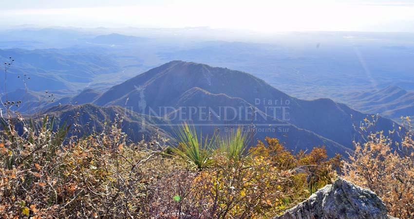 Confirman compra de predio en la Sierra La Laguna para megaproyecto; crecen dudas por vínculos políticos