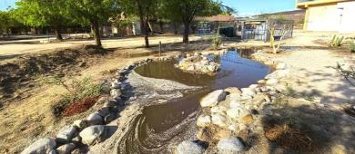 Muestran resultados positivos los jardines de lluvia de UABCS