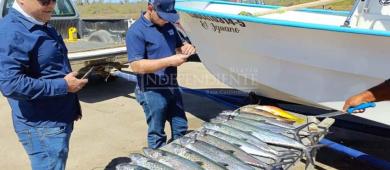 IMIPAS contradice a FONMAR sobre la formalización de un estudio de pesca deportiva en BCS