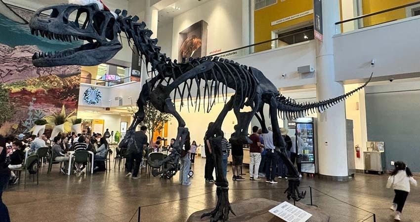 Fortalece UABCS cooperación científica con el San Diego Natural History Museum