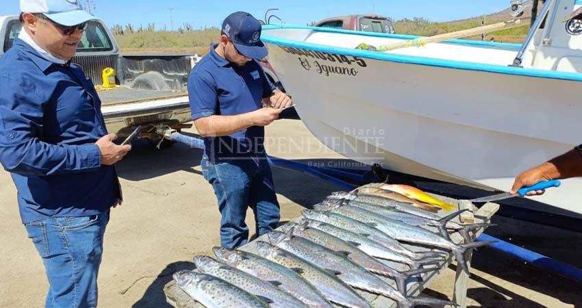 IMIPAS contradice a FONMAR sobre la formalización de un estudio de pesca deportiva en BCS