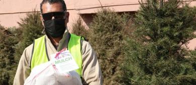 Extienden periodo de recepción de árboles de navidad durante febrero